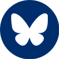 Bluesky Icon